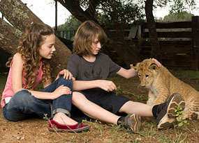 Life Is Wild Life Is Wild